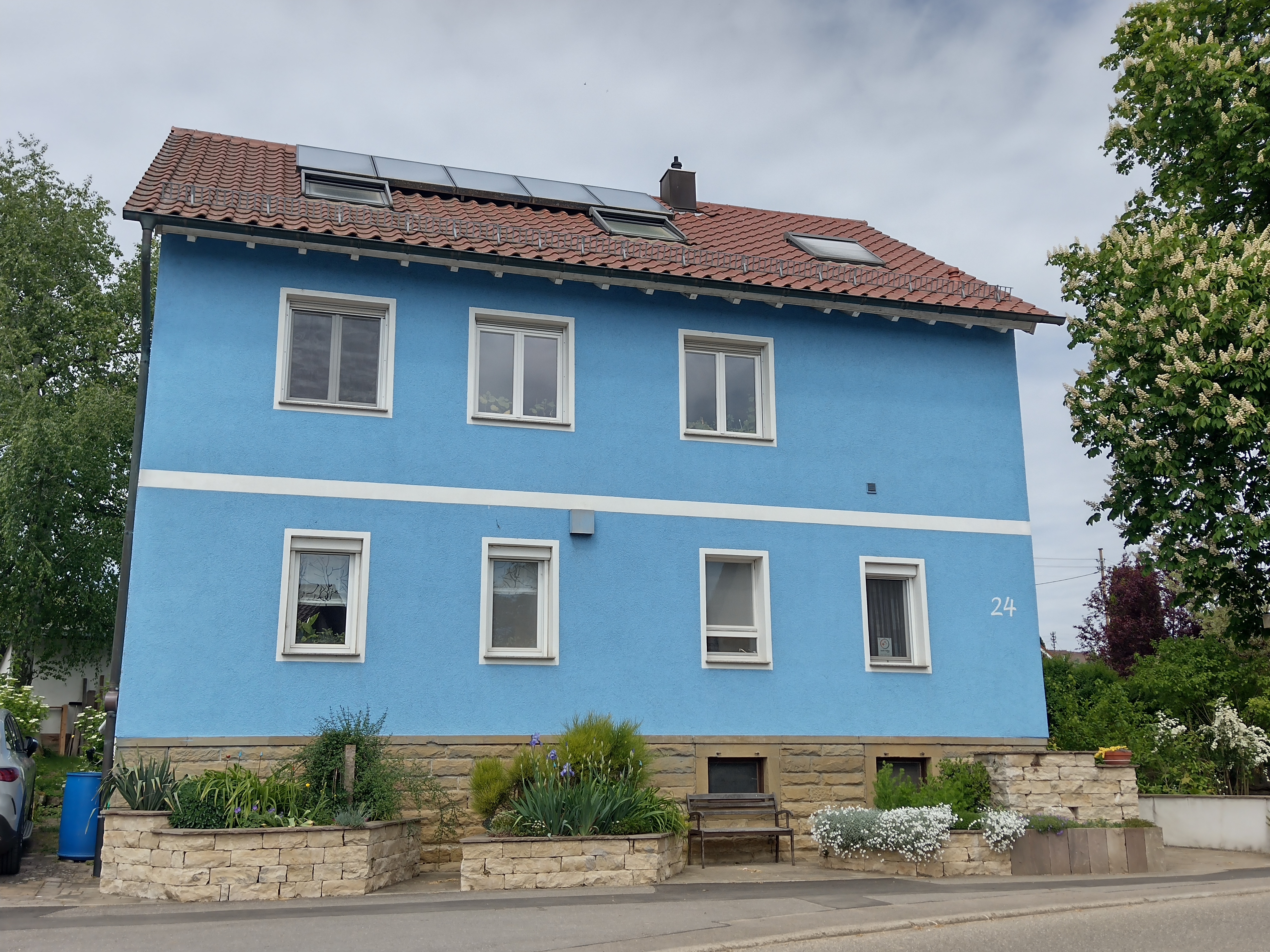 Photo of the blue house next to a large horse chestnut tree